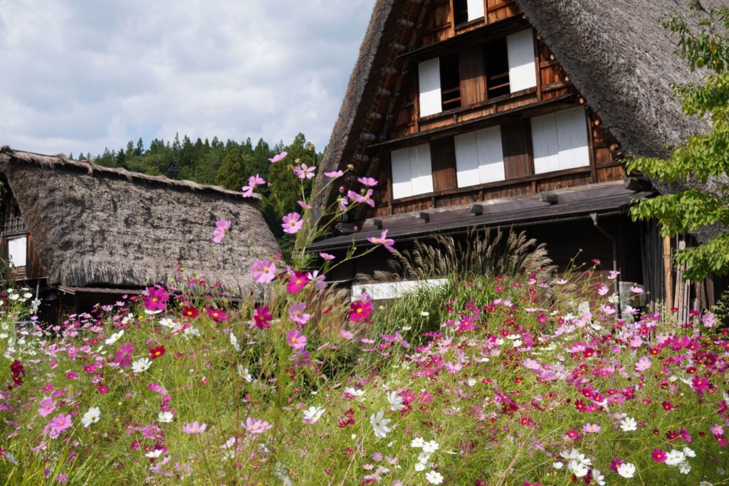 白川郷　茅葺き住居